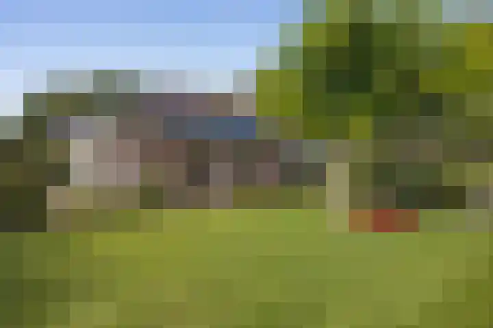 De Holterij 12 Schildwolde thumbnail 33