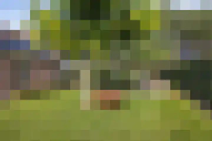 De Holterij 12 Schildwolde thumbnail 34