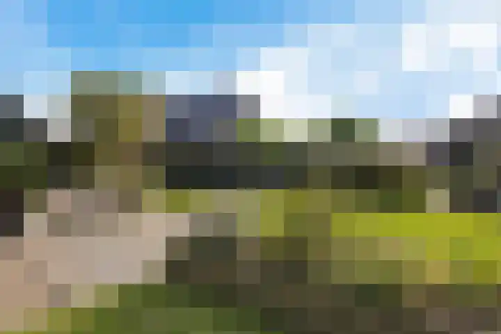 De Holterij 12 Schildwolde thumbnail 38