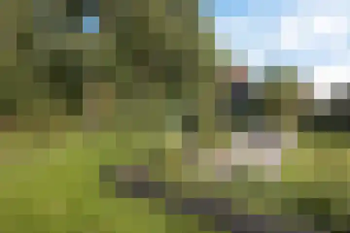 De Holterij 12 Schildwolde thumbnail 41