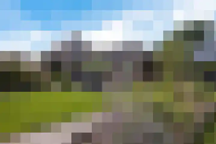 De Holterij 12 Schildwolde thumbnail 43