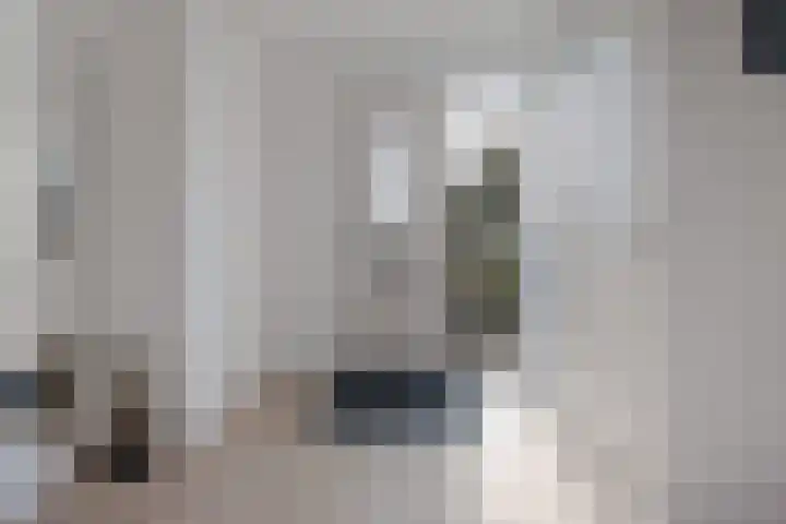 De Holterij 12 Schildwolde thumbnail 7