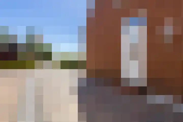 de Hoogte 5 Wagenborgen thumbnail 10