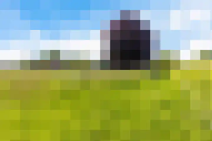 de Hoogte 5 Wagenborgen thumbnail 11