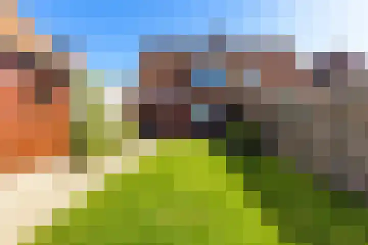 de Hoogte 5 Wagenborgen thumbnail 12