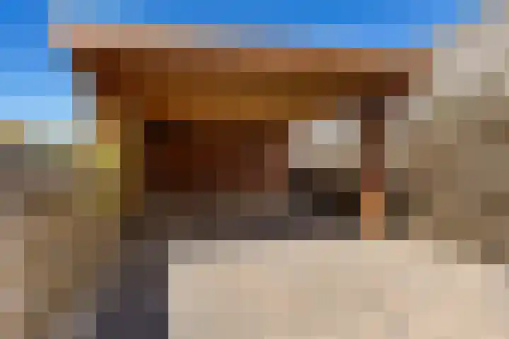 de Hoogte 5 Wagenborgen thumbnail 17