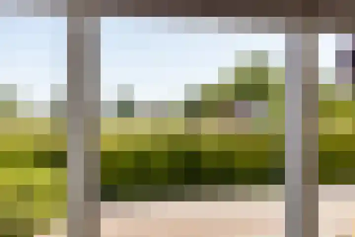 de Hoogte 5 Wagenborgen thumbnail 23