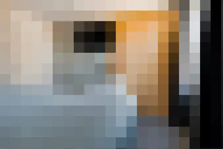 de Hoogte 5 Wagenborgen thumbnail 38