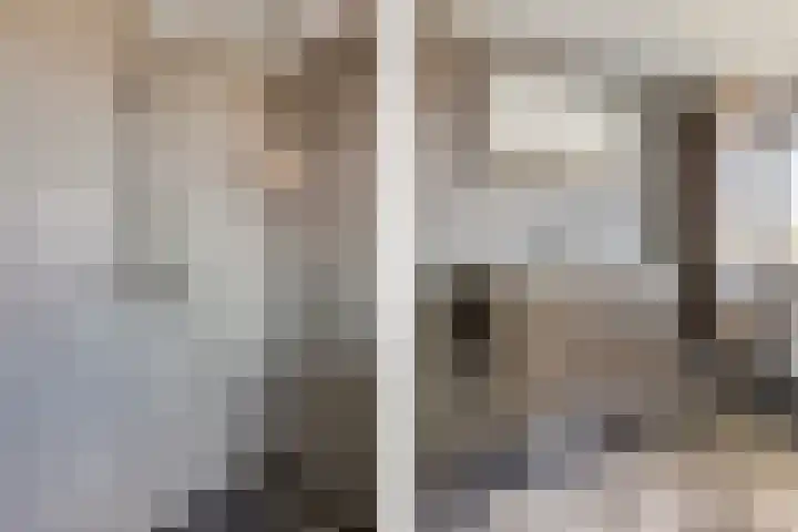 de Hoogte 5 Wagenborgen thumbnail 5