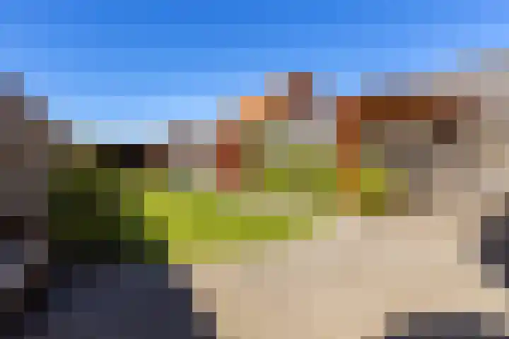 de Hoogte 5 Wagenborgen thumbnail 6