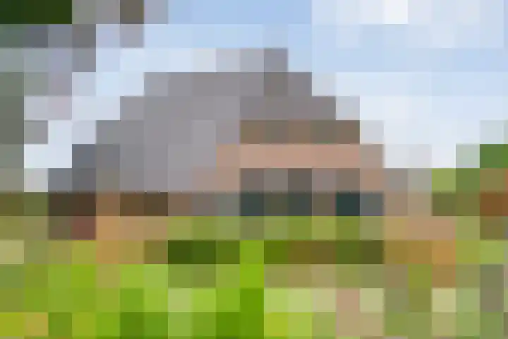 De Hooigraven 5 Dalfsen