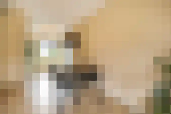 De Hooivork 24 Arnhem thumbnail 12