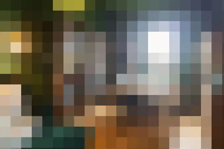 De Hooivork 24 Arnhem thumbnail 20