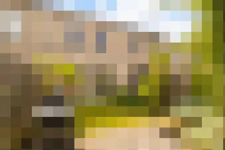 De Hooivork 24 Arnhem thumbnail 28
