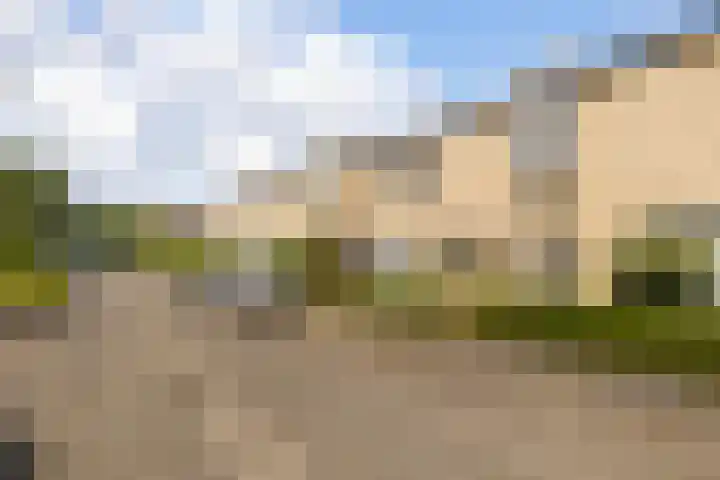 De Hooivork 24 Arnhem thumbnail 30