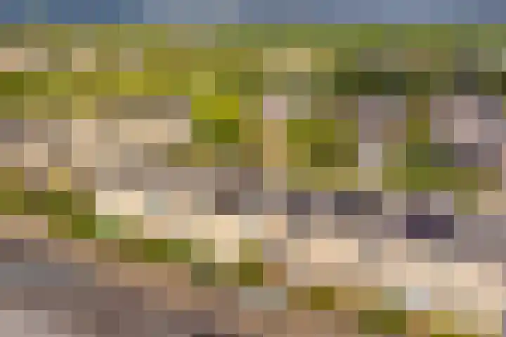 De Hooivork 24 Arnhem thumbnail 31