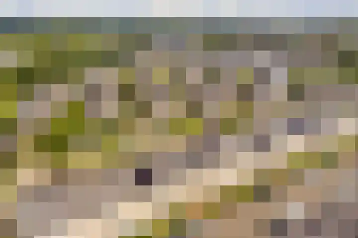 De Hooivork 24 Arnhem thumbnail 32