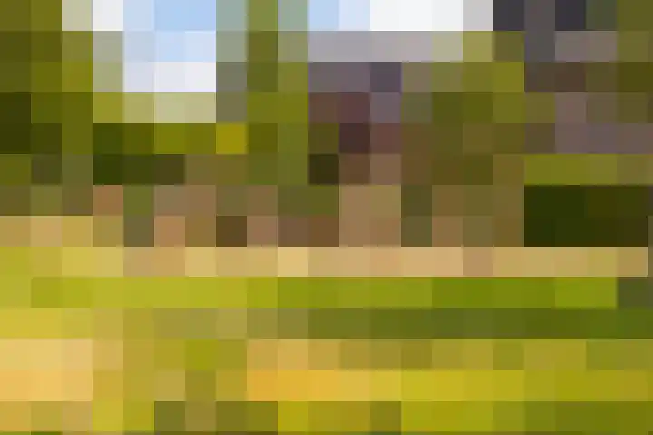 De Hooivork 24 Arnhem thumbnail 34