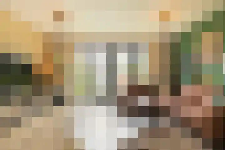 De Hooivork 24 Arnhem thumbnail 6