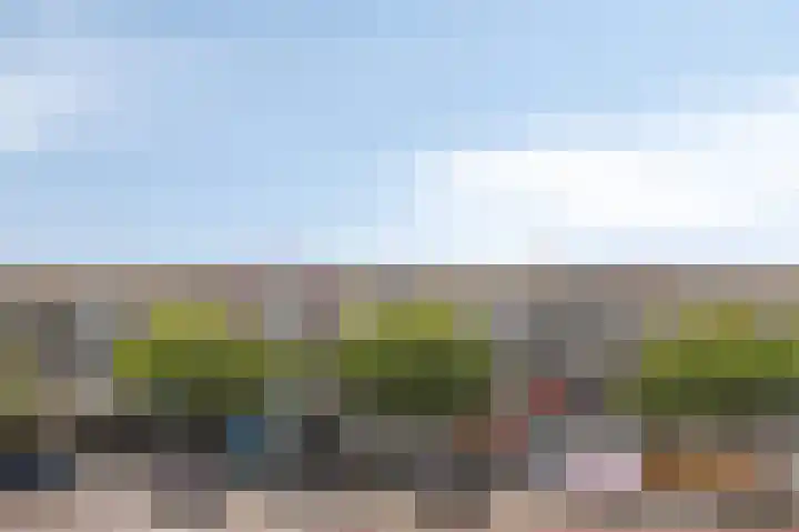 De Hooizolder 13 Tolbert thumbnail 10