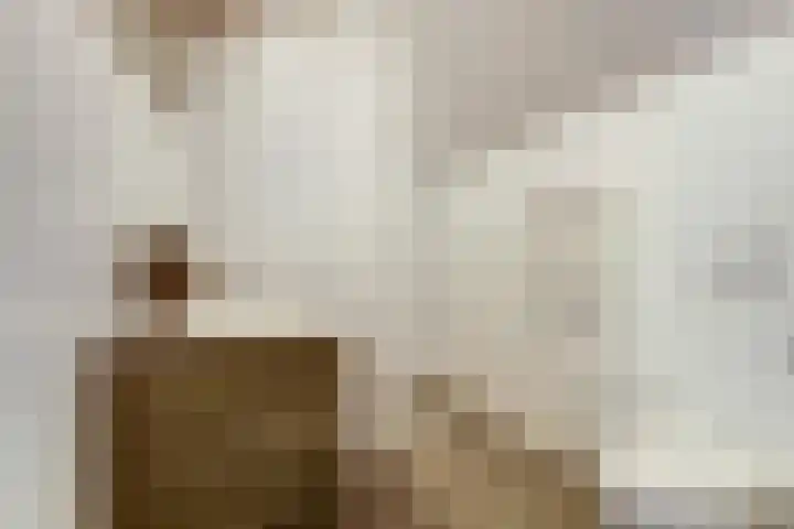 De Hooizolder 13 Tolbert thumbnail 23