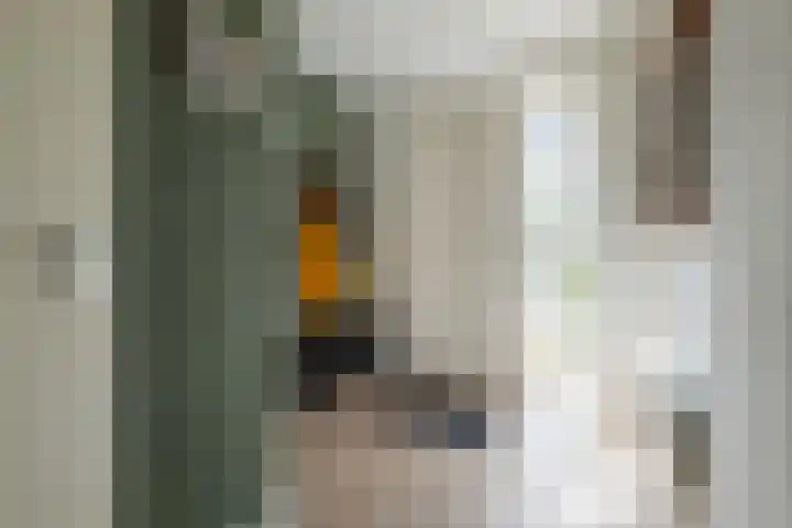 De Hooizolder 13 Tolbert thumbnail 8