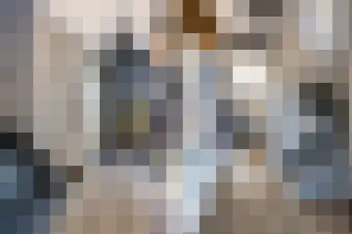 De Hooyer 39 Wekerom thumbnail 18