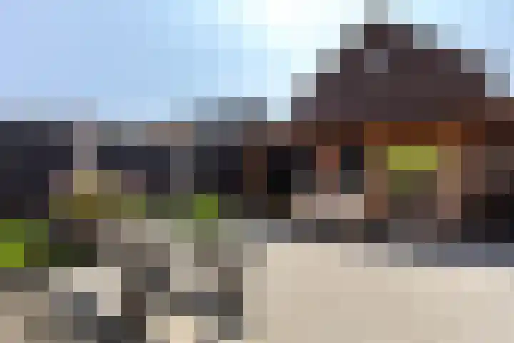 De Hooyer 39 Wekerom thumbnail 30