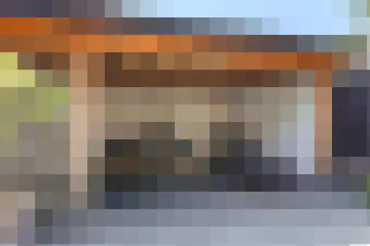 De Hooyer 39 Wekerom thumbnail 33
