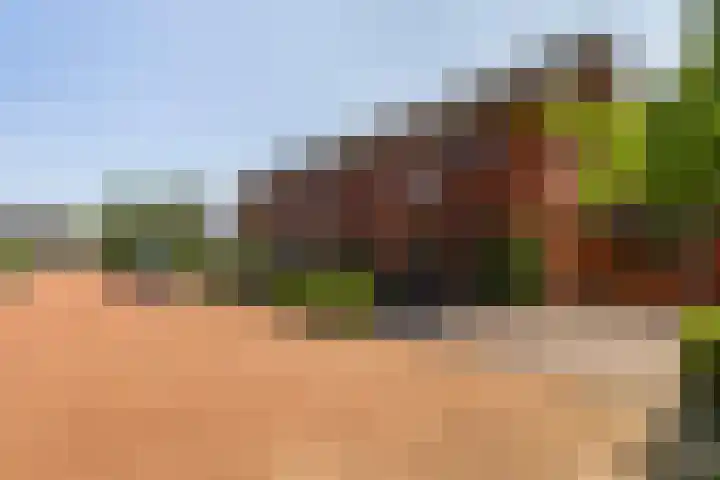 De Hooyer 39 Wekerom thumbnail 39