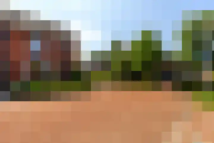 De Hooyer 39 Wekerom thumbnail 40