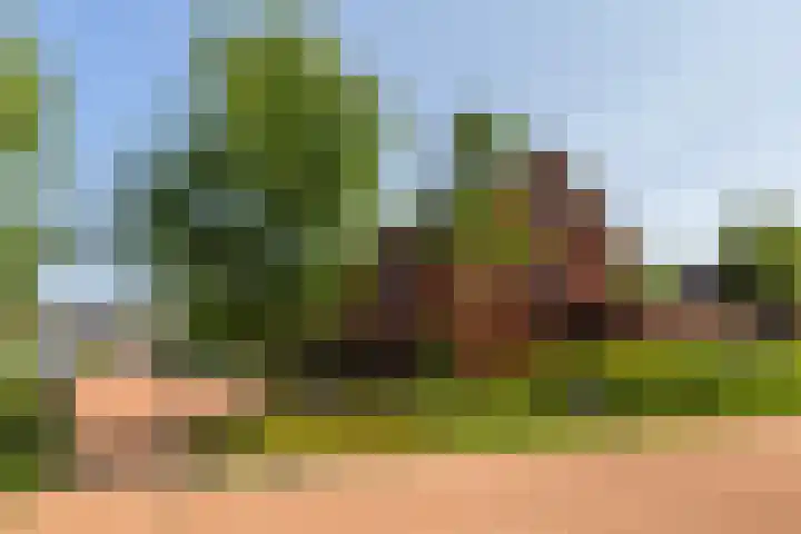 De Hooyer 39 Wekerom thumbnail 41