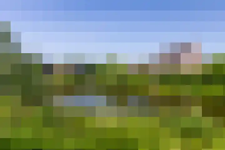De Hooyer 39 Wekerom thumbnail 42