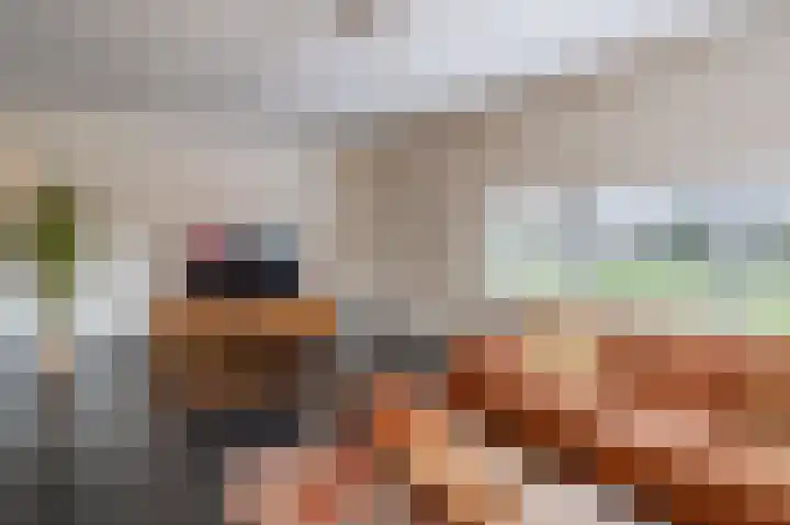 De Horik 21 Oostrum thumbnail 14