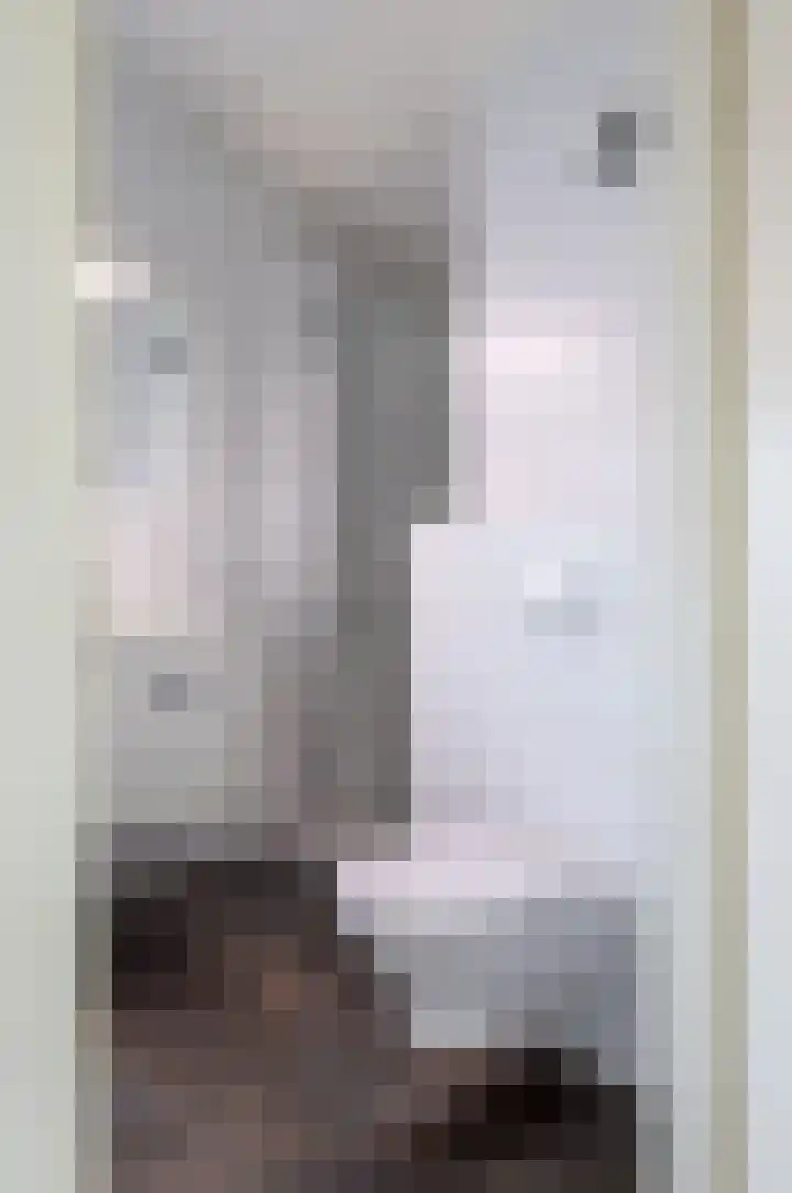 De Horik 21 Oostrum thumbnail 33