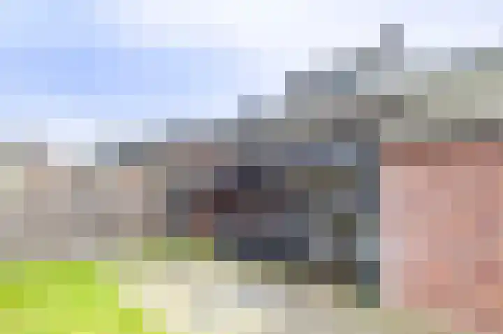 De Horik 21 Oostrum thumbnail 38