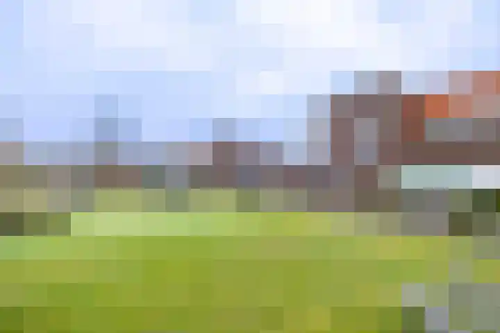 De Horik 21 Oostrum thumbnail 4