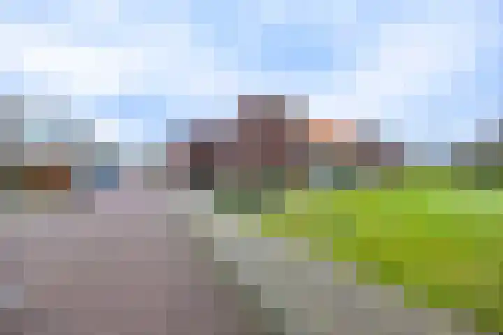 De Horik 21 Oostrum thumbnail 42