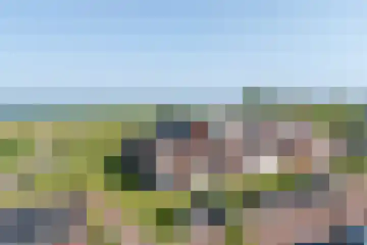 De Hors 16 in Volendam