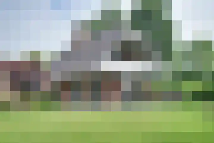 De Horst 13 Zevenaar thumbnail 27