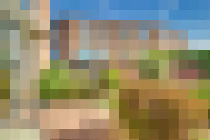 De Horst 3 Bedum thumbnail 25