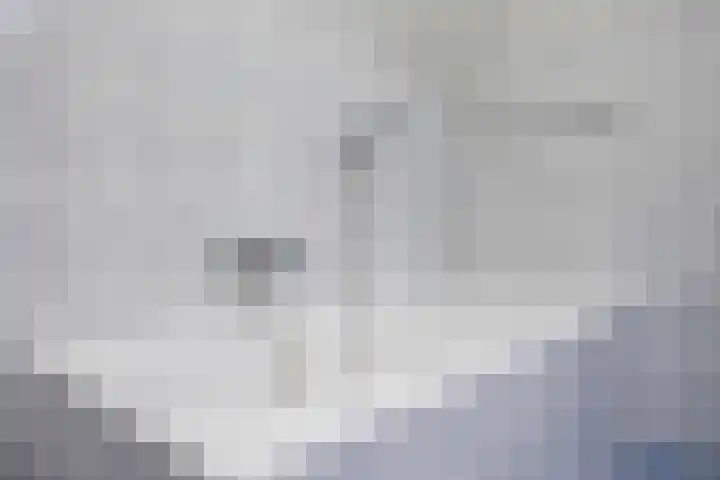 De Horst 3 Bedum thumbnail 30