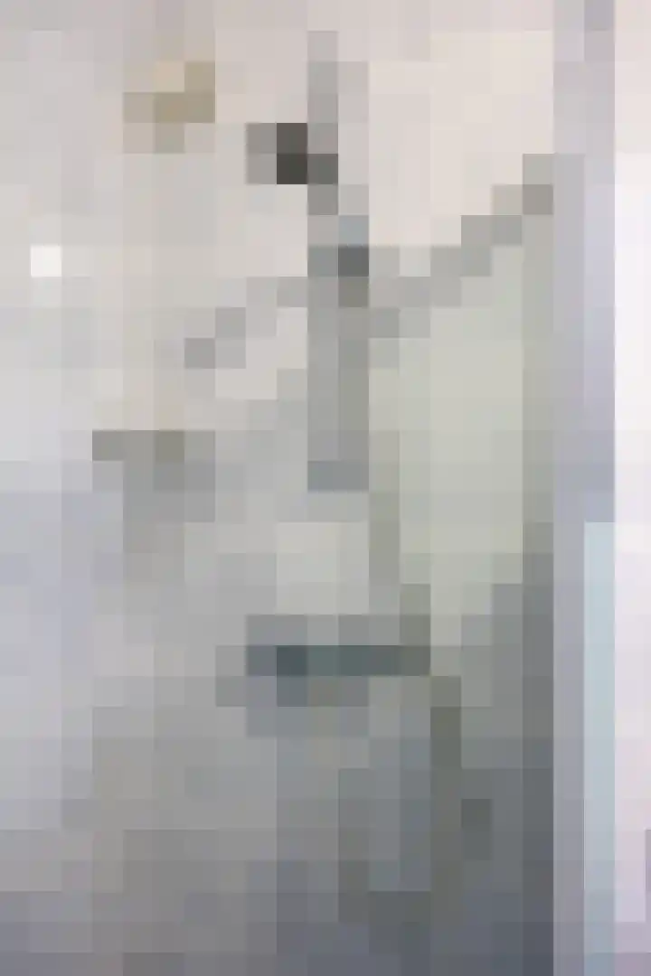 De Horst 3 Bedum thumbnail 32