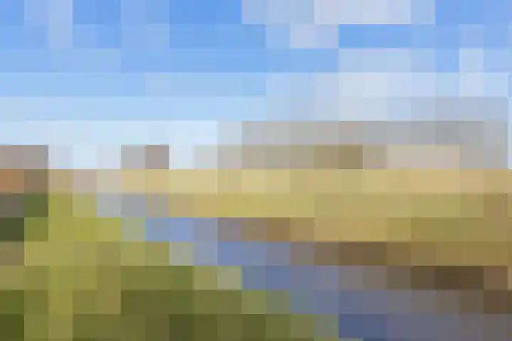 De Horst 3 Bedum thumbnail 40
