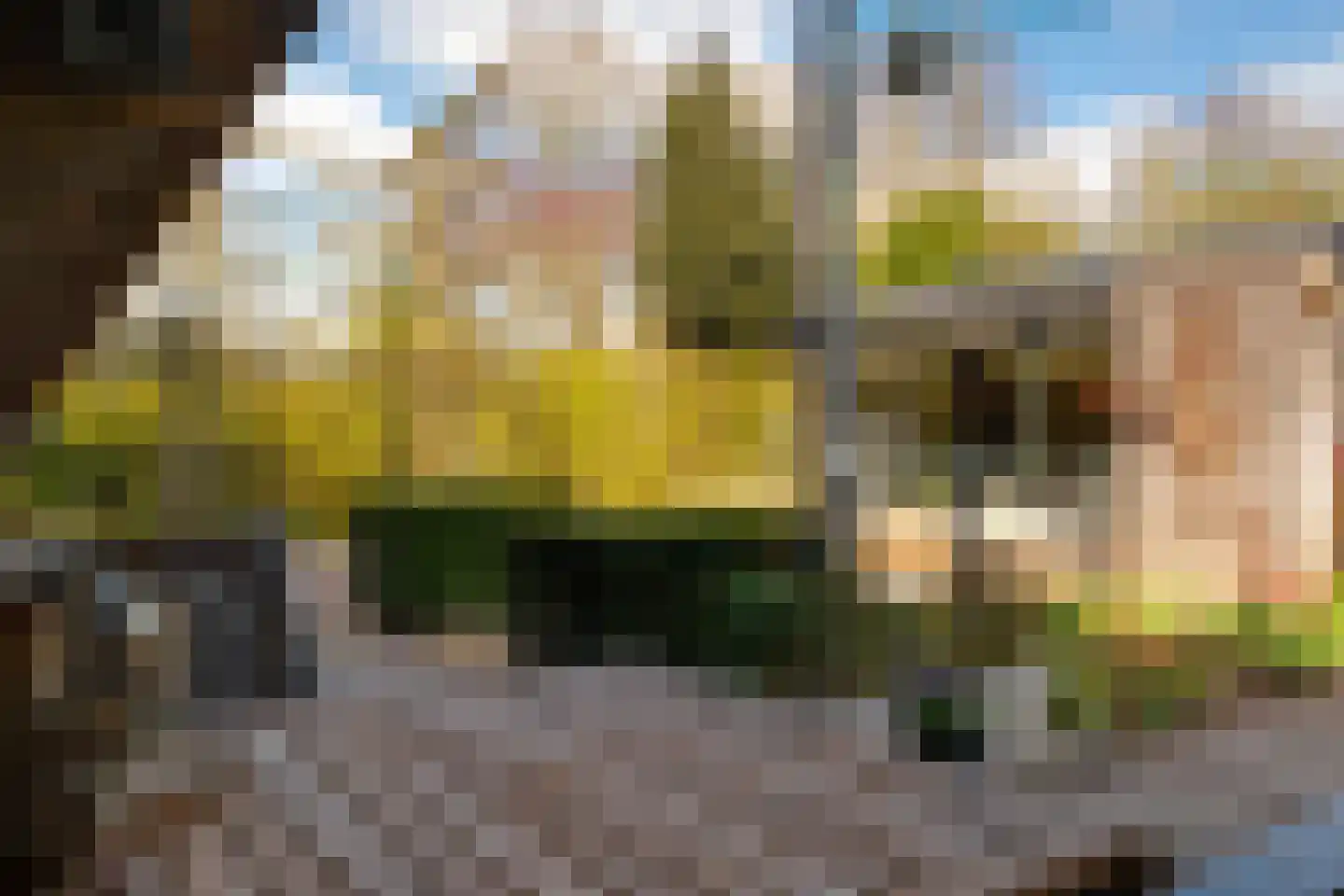De Horst 3 Zevenaar thumbnail 23