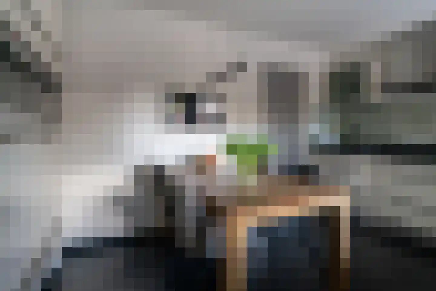 De Horst 3 Zevenaar thumbnail 38