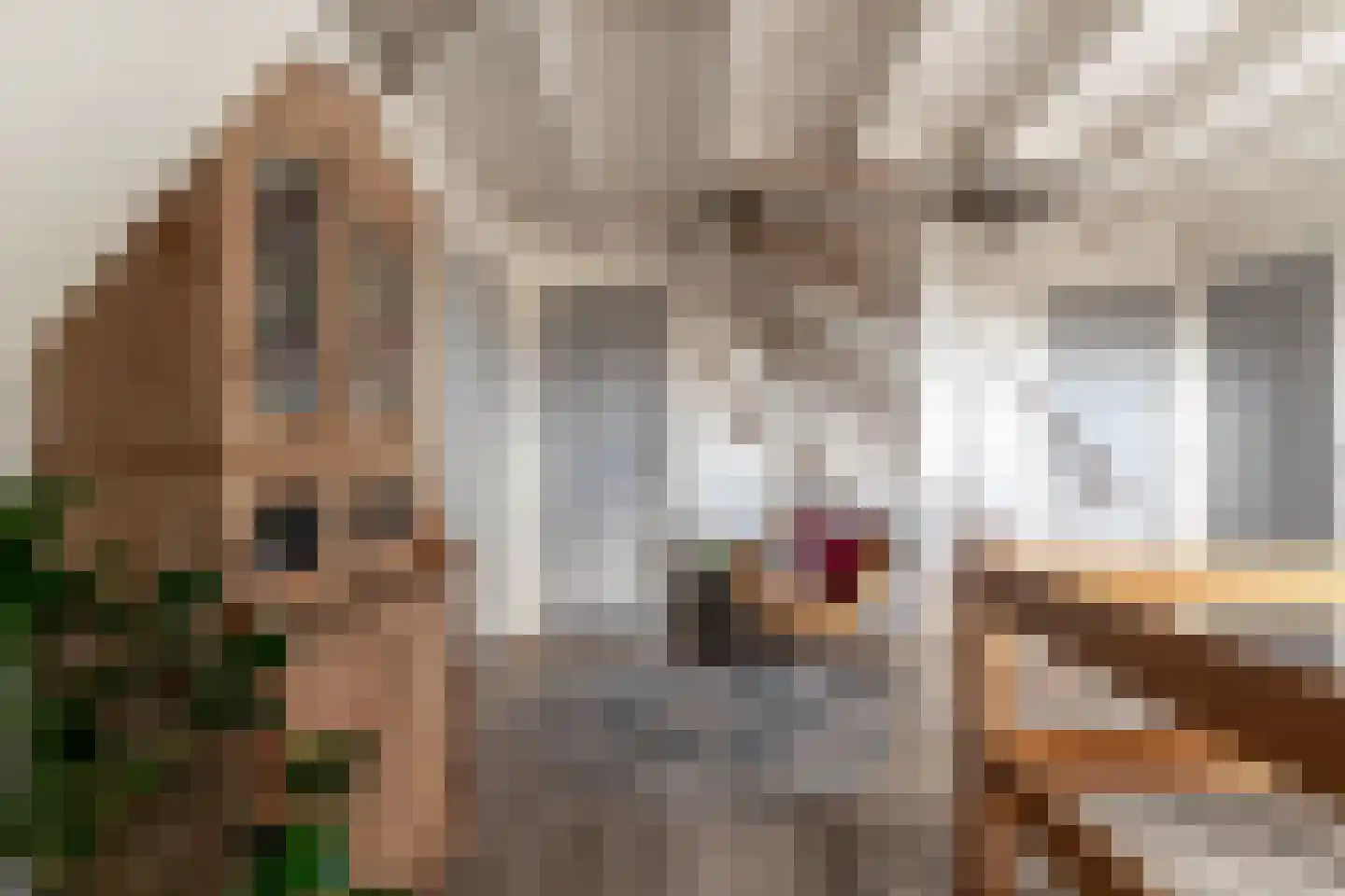 De Horst 3 Zevenaar thumbnail 52