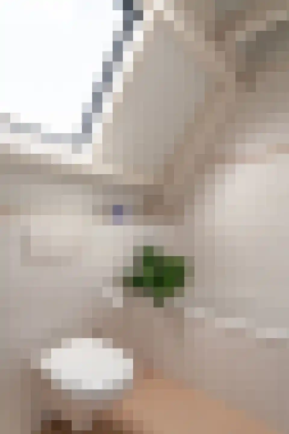 De Horst 3 Zevenaar thumbnail 63