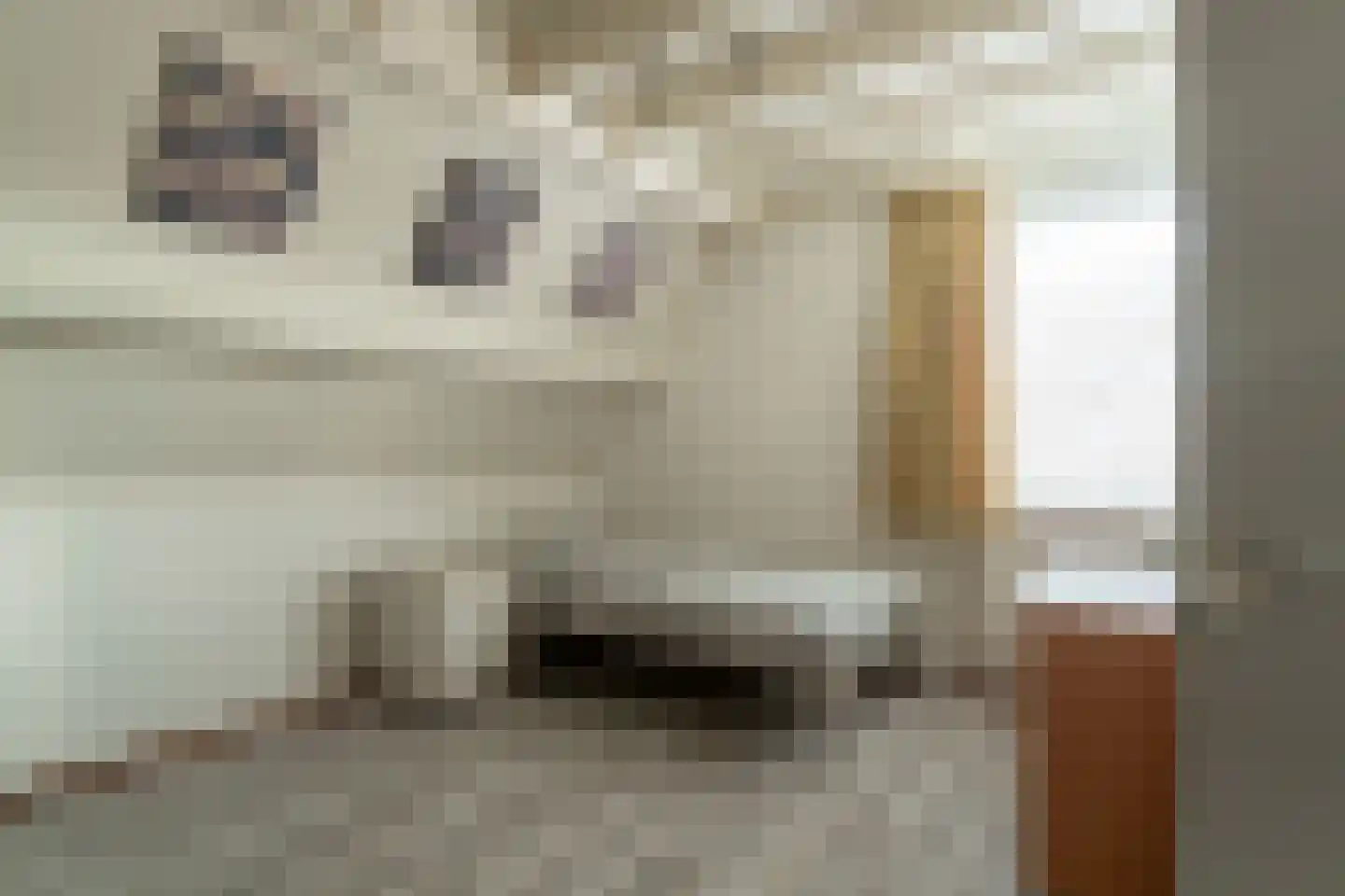 De Horst 3 Zevenaar thumbnail 67