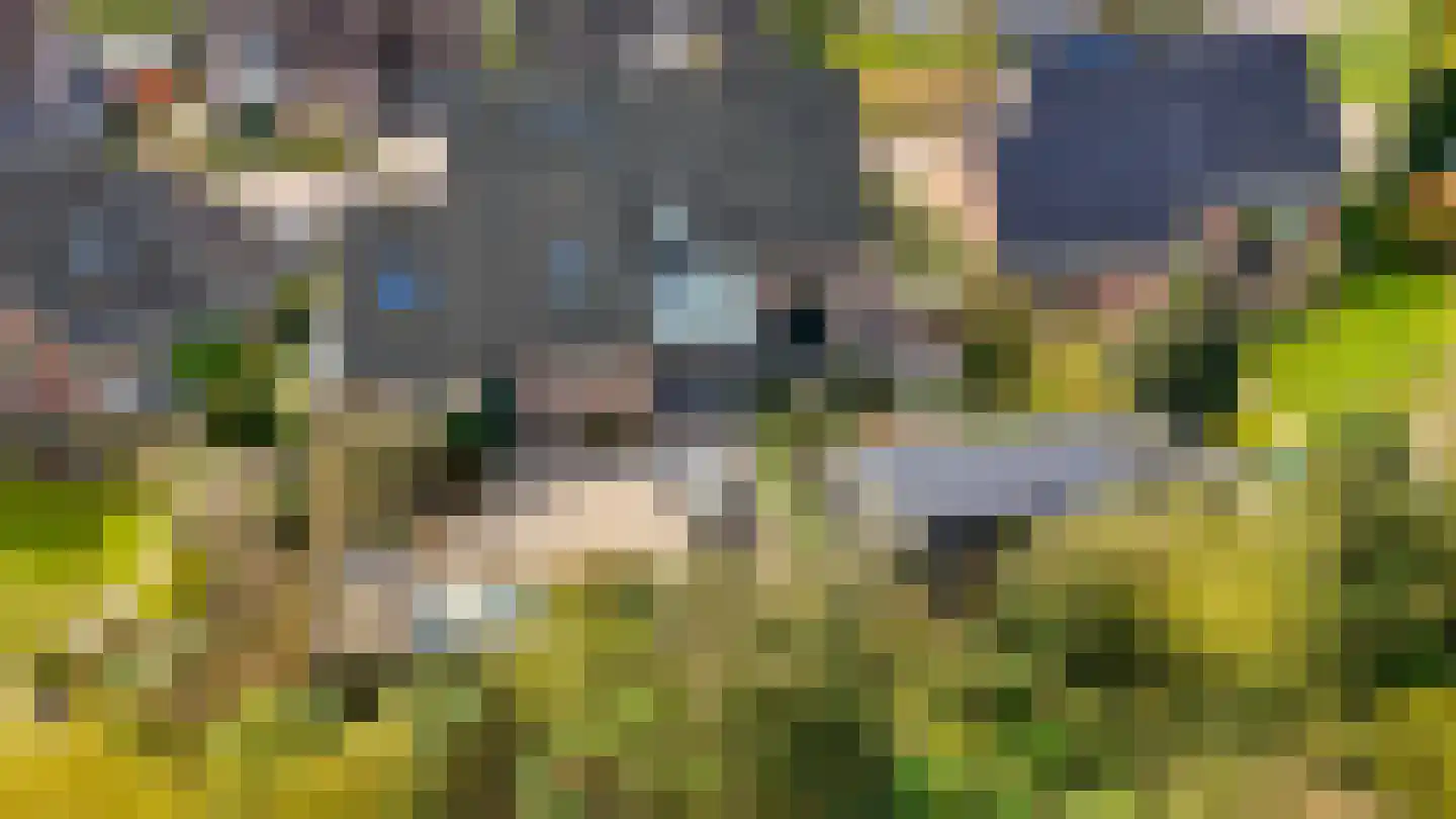 De Horst 3 Zevenaar thumbnail 75